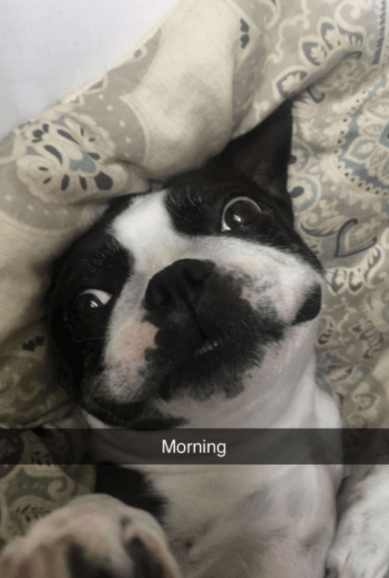 Ody