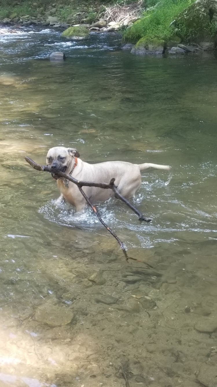 River