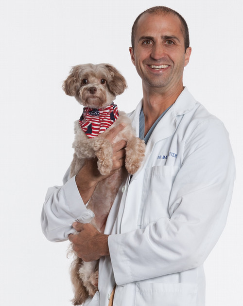 Matthew Ritter, DVM, DACVS-SA